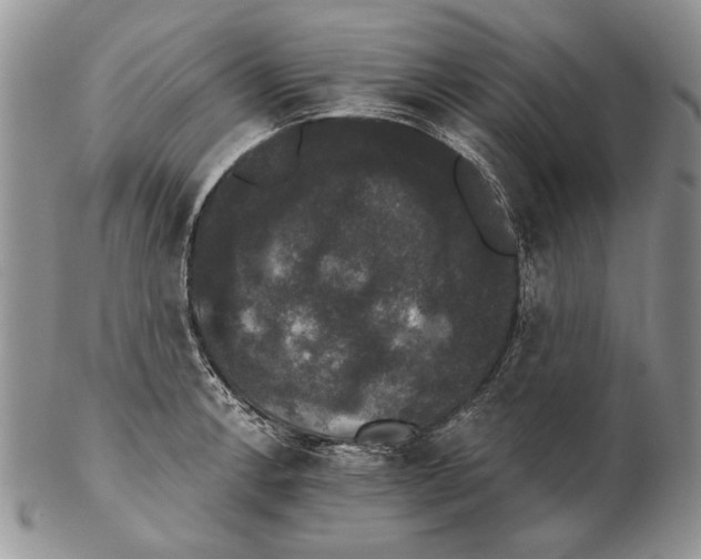 X0000102241138200808221324