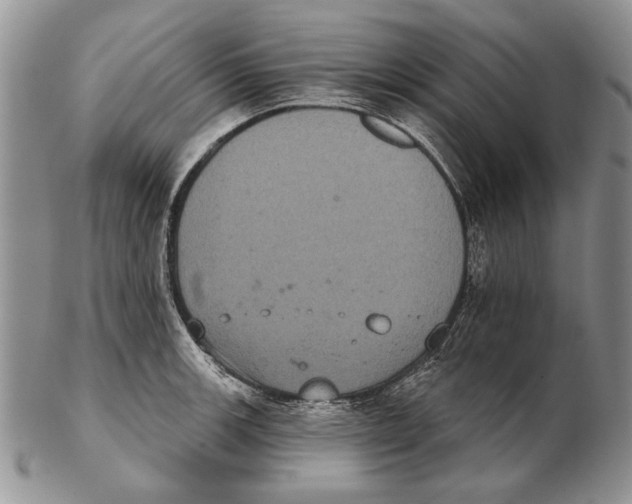 X0000102241139200808221324