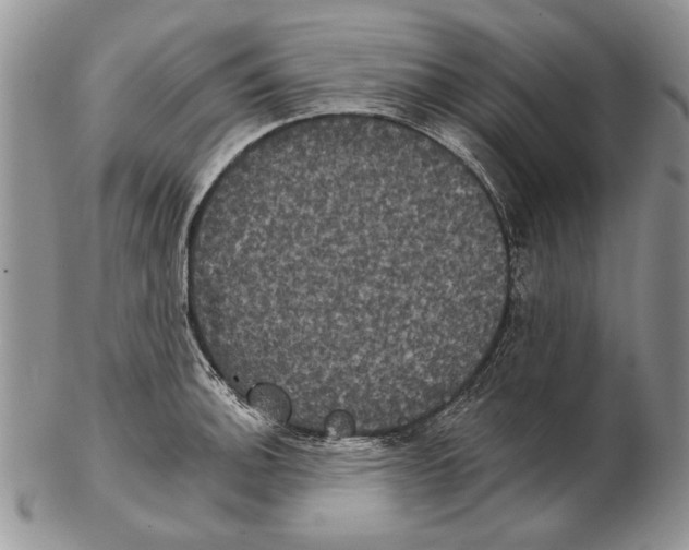 X0000102241140200808221324