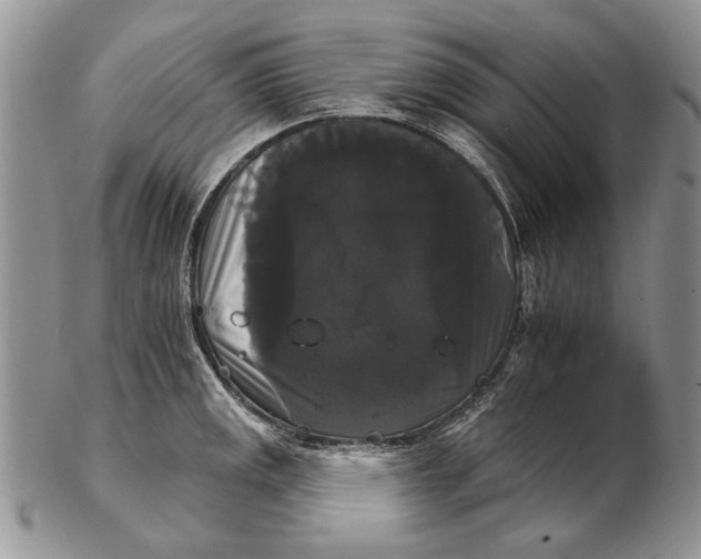 X0000102241141200808221324