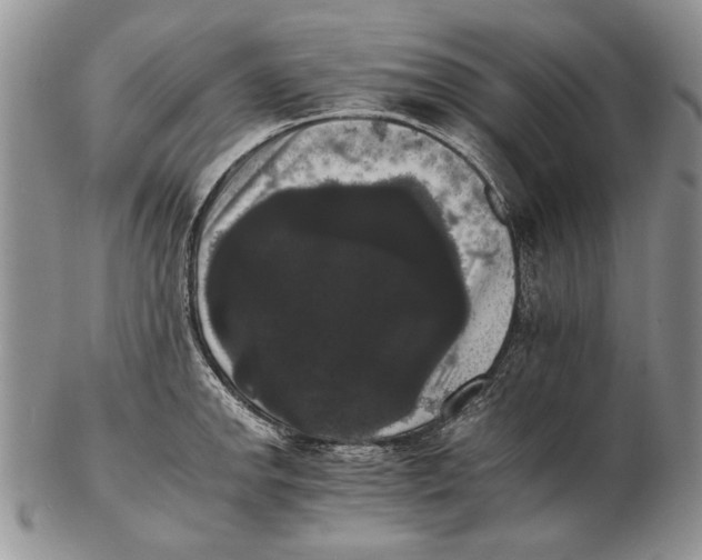 X0000102241142200808221324