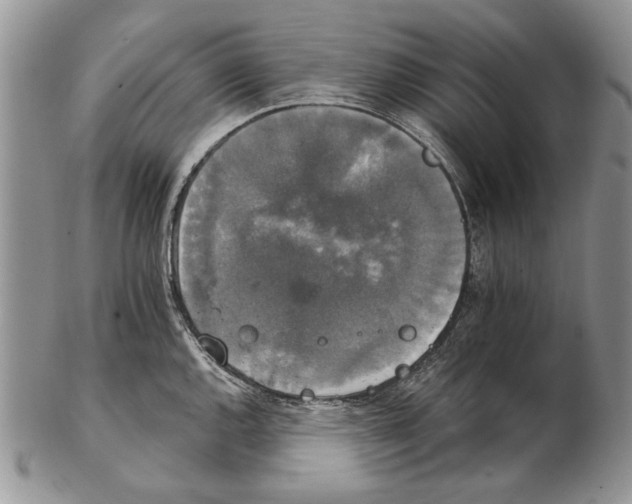 X0000102241144200808221324