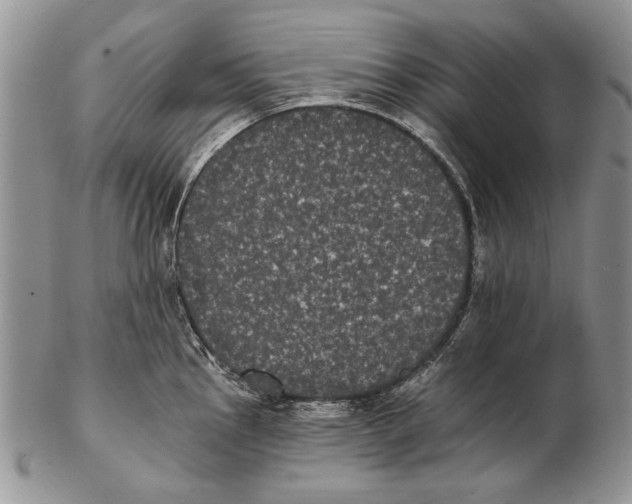 X0000102241145200808221324