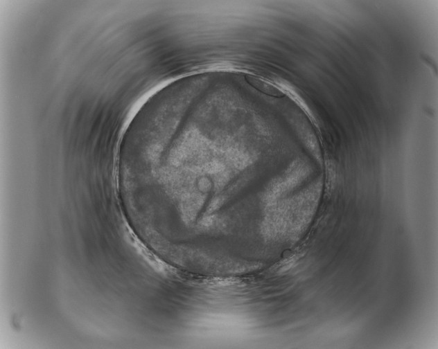 X0000102241148200808221324