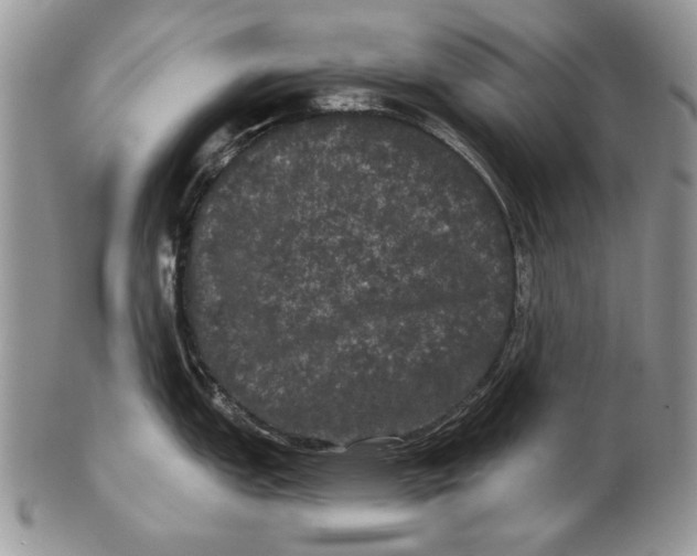 X0000102241151200808221324