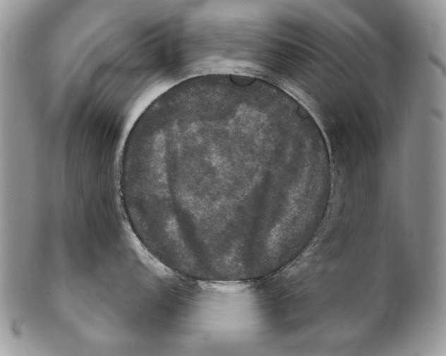 X0000102241152200808221324