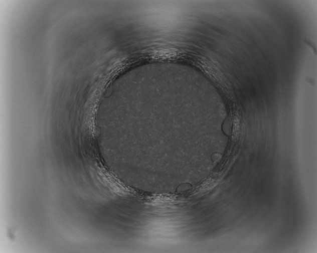 X0000102241153200808221324