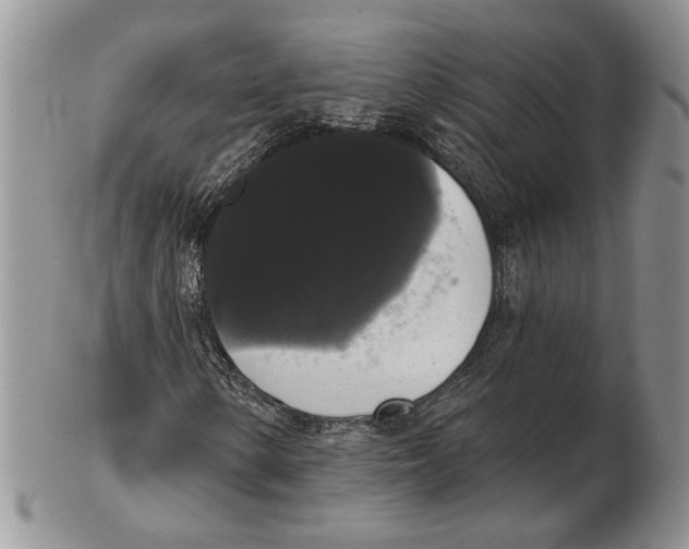 X0000102241154200808221324