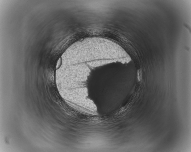 X0000102241155200808221324