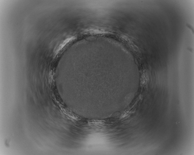 X0000102241157200808221324