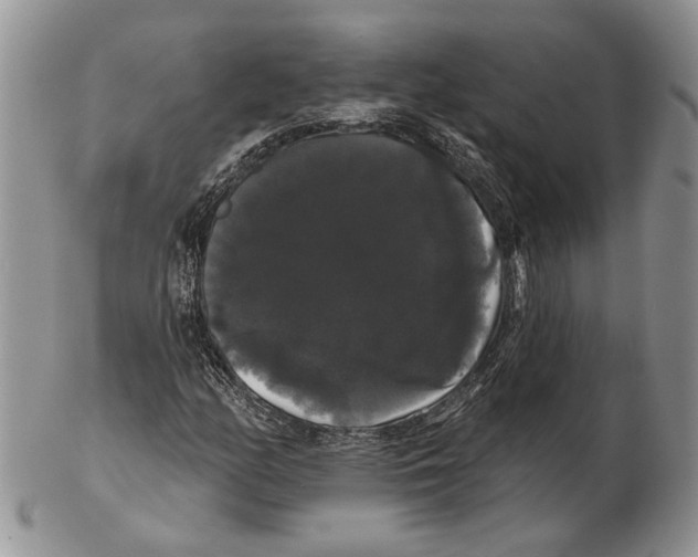 X0000102241158200808221324