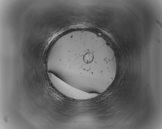 X0000102241160200808221324