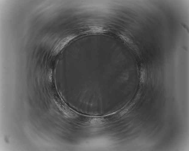 X0000102241161200808221324