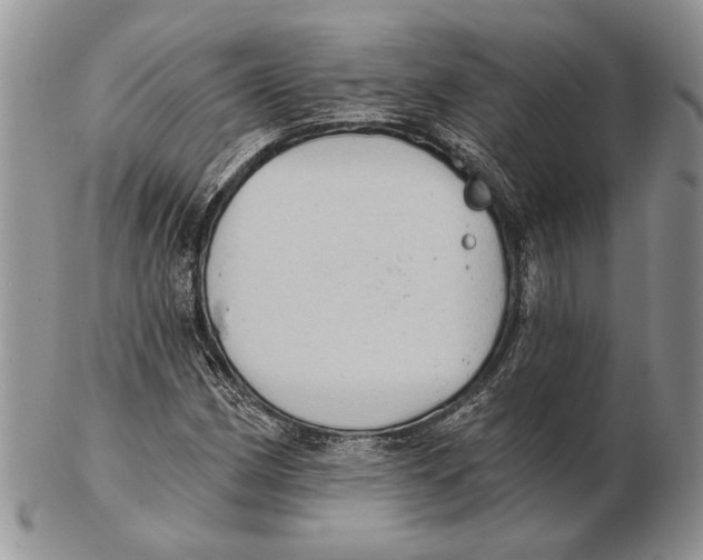 X0000102241162200808221324