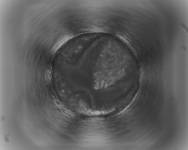 X0000102241163200808221324