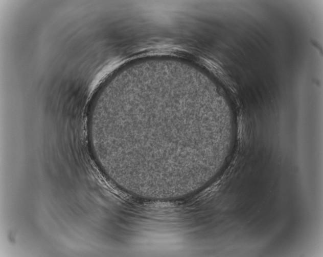 X0000102241164200808221324