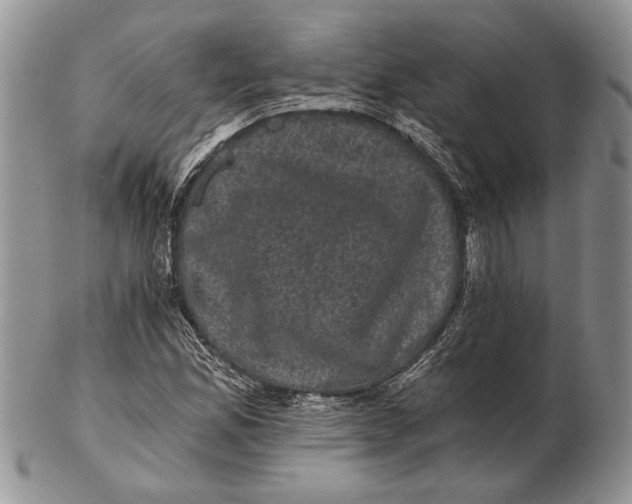 X0000102241165200808221324