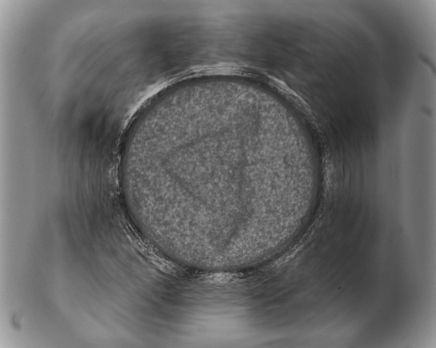 X0000102241166200808221324