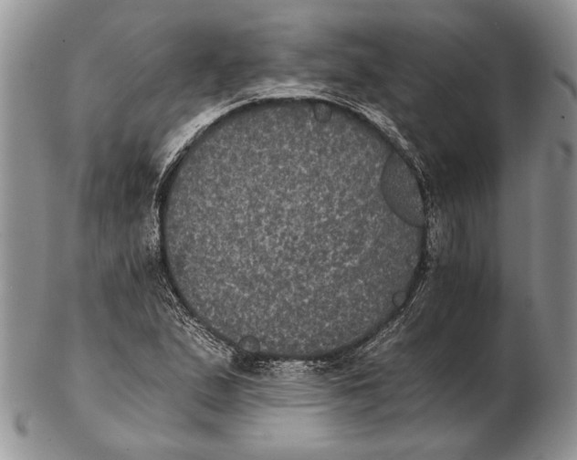 X0000102241167200808221324