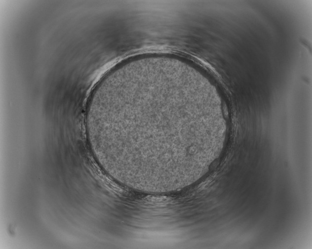 X0000102241168200808221324