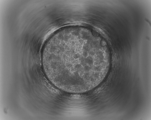 X0000102241172200808221323