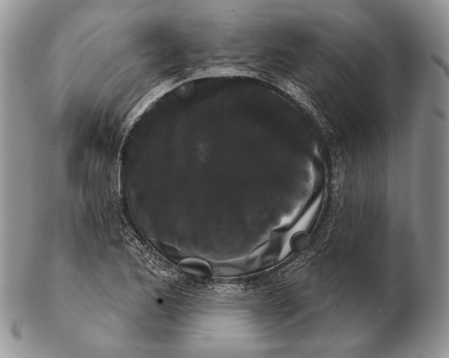 X0000102241173200808221323