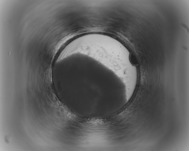 X0000102241174200808221323