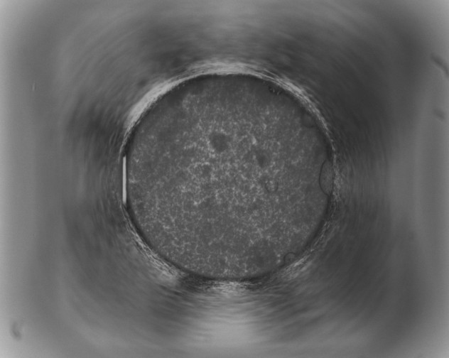 X0000102241175200808221323