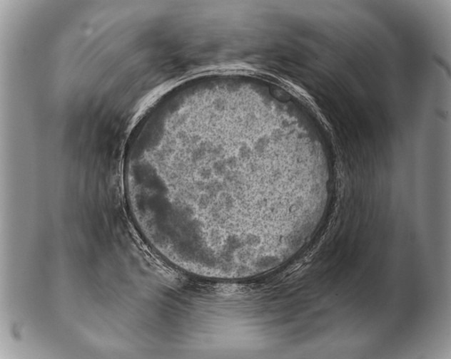 X0000102241176200808221323