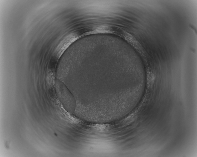 X0000102241177200808221323