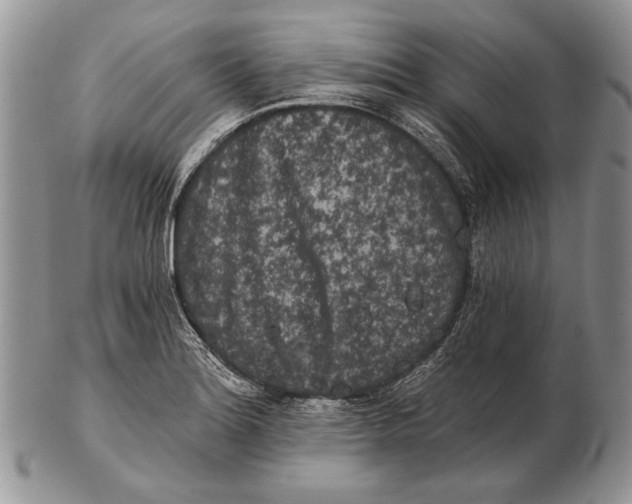 X0000102241180200808221323