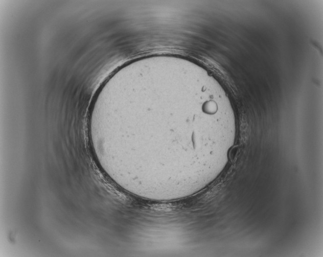 X0000102241182200808221323