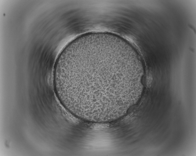 X0000102241183200808221323