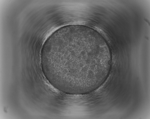 X0000102241184200808221323