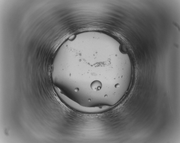 X0000102241185200808221323