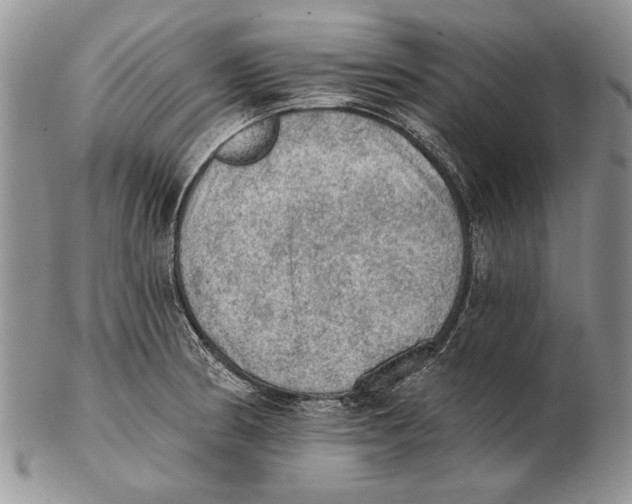 X0000102241186200808221323