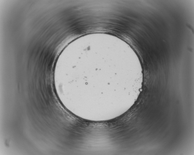 X0000102241187200808221323