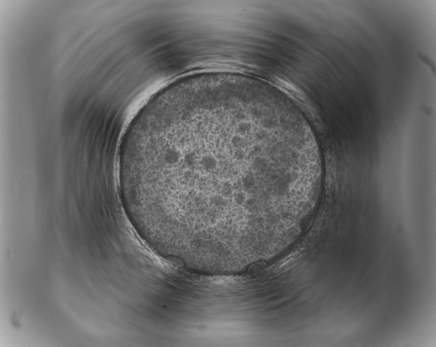 X0000102241188200808221323