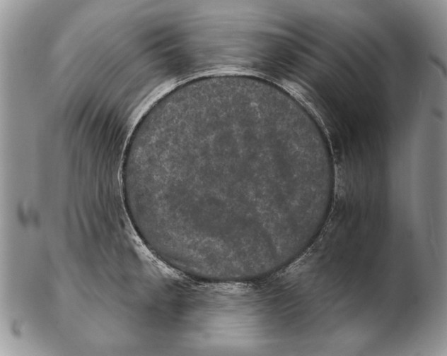 X0000102241189200808221323