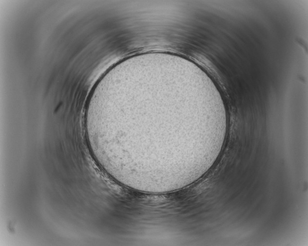 X0000102241190200808221323