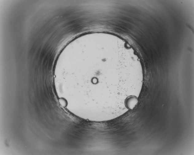 X0000102241191200808221323