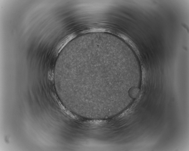 X0000102241193200808221323