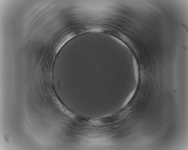 X0000102241194200808221323