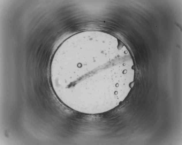 X0000102241195200808221323