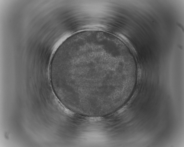 X0000102241196200808221323