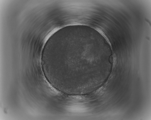 X0000102241197200808221323