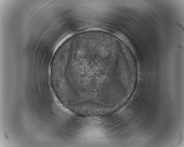 X0000102241198200808221323