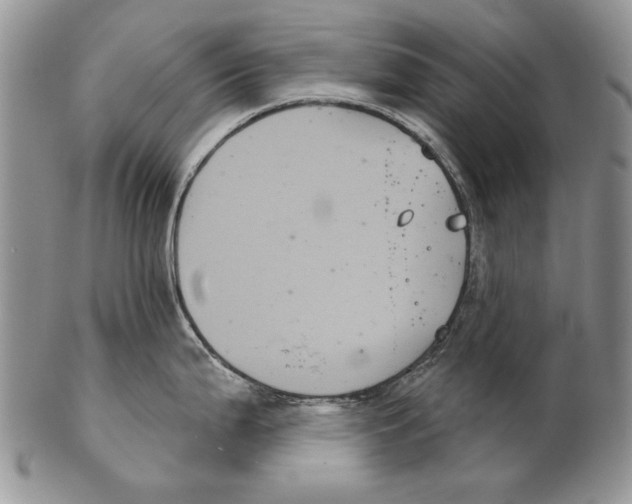 X0000102241199200808221323