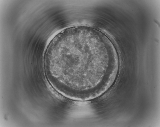 X0000102241200200808221323