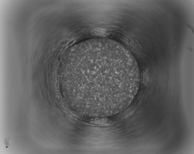 X0000102241201200808221322